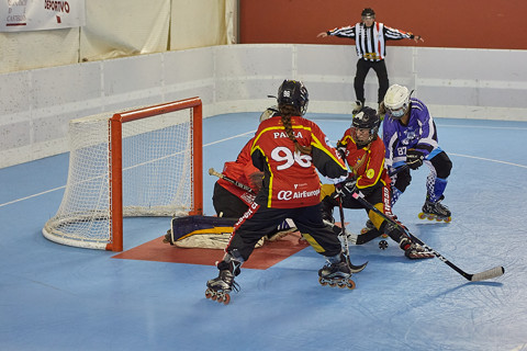 Fighters - EHC Espanya